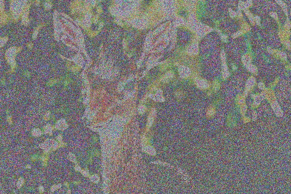 Dik Dik
